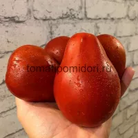 Купить семена Томат Карл
