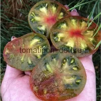 Купить семена Томат Гном Картофельная гадюка (Spud Viper)