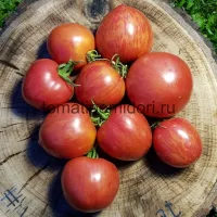 Купить семена Томат Козула