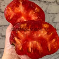 Купить семена Томат Колхозная королева