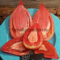 Купить Томат Корейский длинноплодный