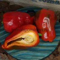 Купить семена Перец Кореновский