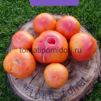 Купить семена Томат Лаки кросс