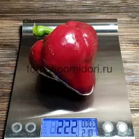 Купить семена Перец Леся