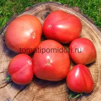 Купить семена Томат Лонгхорн (Longhorn)