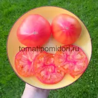 Купить семена Томат Мадрид F1