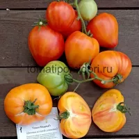 Купить семена Томат Мадрид F1