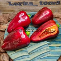 Купить семена Перец Маринкин Язычок