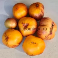 Купить семена Томат Мечта Алисы