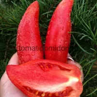 Купить семена Томат Минусинский длинный розовый