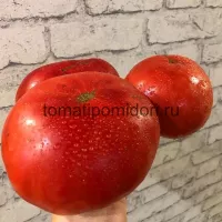 Купить семена Томат Минусинский домашний