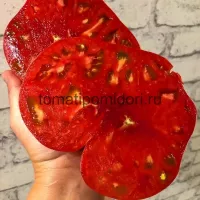 Купить семена Томат Минусинский домашний