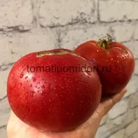 Купить семена Томат Минусинский урожайный
