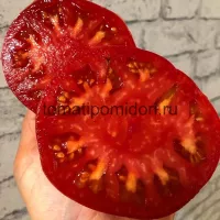 Купить семена Томат Минусинский урожайный