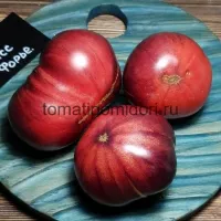Купить семена Томат Мисс Форье
