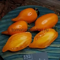 Купить семена Томат Оранжевая Прогулка (Orange Walk)