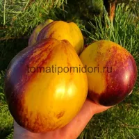 Купить семена томата Очень сладкий блюз