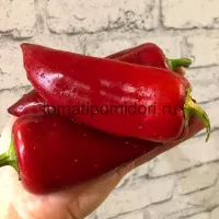 Купить семена Перец сладкий Китайская стена