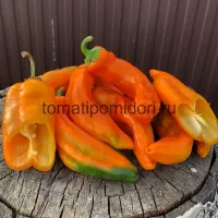 Купить семена Перец Рамиро оранжевый