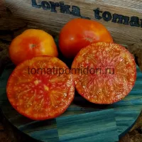 Купить семена Томат Прозорливый Колдун