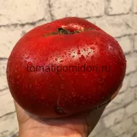Купить семена Томат Секрет Алифирова
