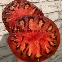 Купить семена Томат Секрет Алифирова
