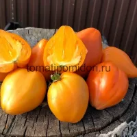 Купить семена Томат Сердце Ашхабада
