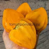 Купить семена Томат Сердце Любы