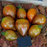 Купить семена томата Сердце Марши