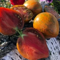 Купить семена томата Сердце Марши