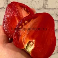 Купить семена Томат Сердце Минусинска