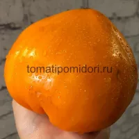 Купить семена томата Сердце Пустыни