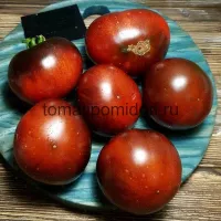 Купить семена Томат Синий