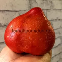 Купить семена Томат Синица Монахини