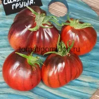 Купить семена Томат Синяя Груша (Blue Pear)