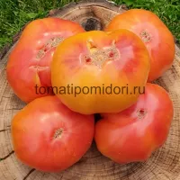 Купить семена Томат Сладости вирджинии