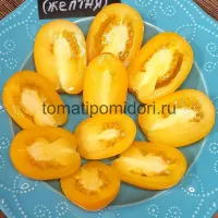 Купить семена Томат Сливка Бендрика желтая