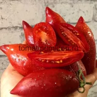Купить семена Томат Сливка Гурман