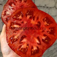 Купить семена Томат Спринт таймер