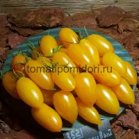 Купить семена Томат Стыдливый румянец