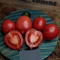 Купить семена Томат Сызранская лиана