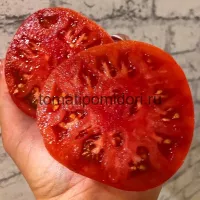 Купить семена Томат Сызранская розовая ранняя помидора