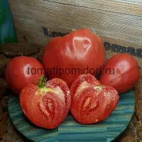 Купить семена Томат Сызранское Бычье сердце
