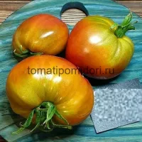 Купить семена Томат Тайга