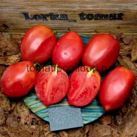 Купить семена Томат Тёщин язык