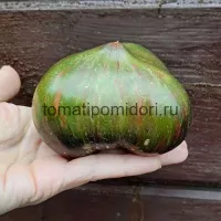 Купить семена Томат Триумф Софии
