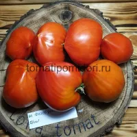 Купить семена Томат Фатер рейн