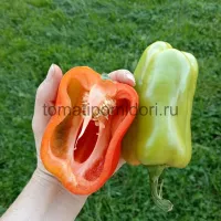 Купить семена Перец Фламинго
