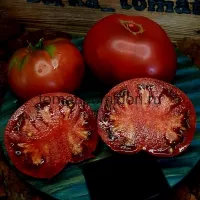 Купить семена Томат Черная Магия