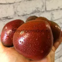 Купить семена Томат Черное сердце Бреда